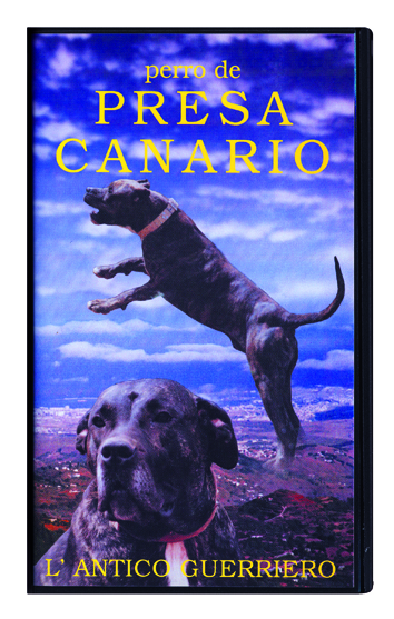 14_Perro de presa canario (Dogo Canario)